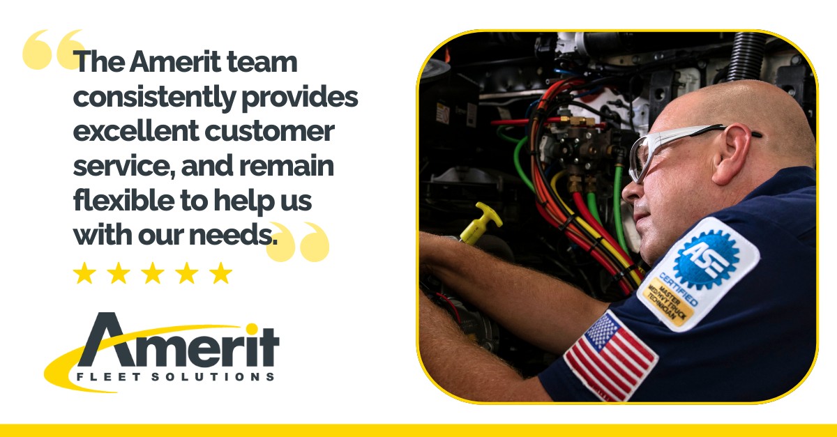 Amerit Fleet Solutions ad
