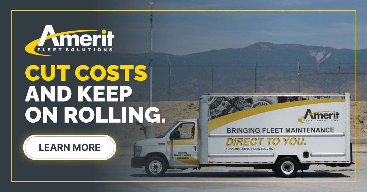 Amerit Fleet Solutions ad