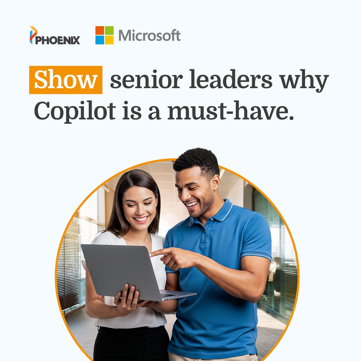 Phoenix Software ad