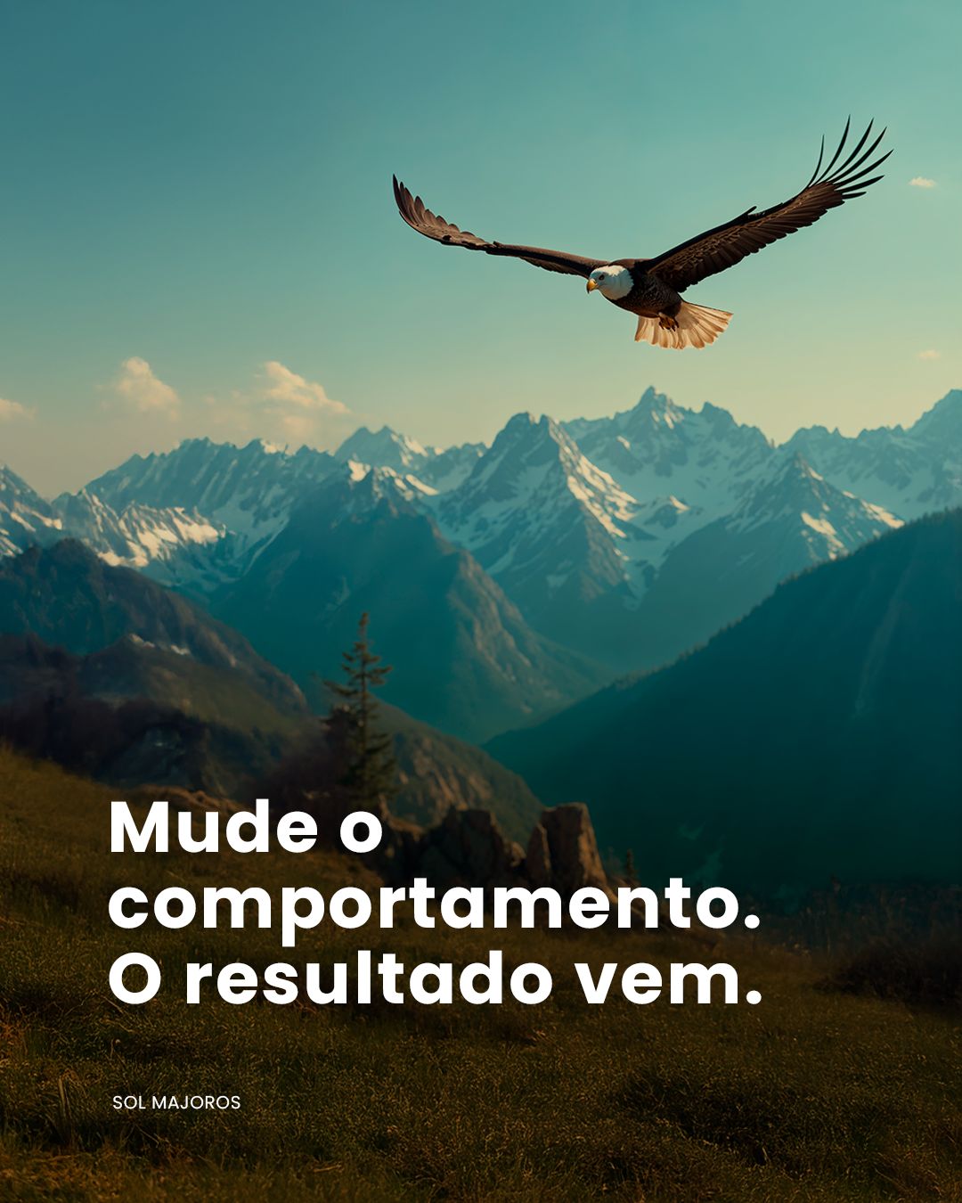 Eagles Flight Brasil ad