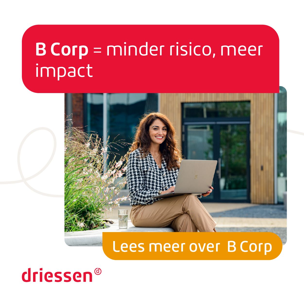 Driessen ad