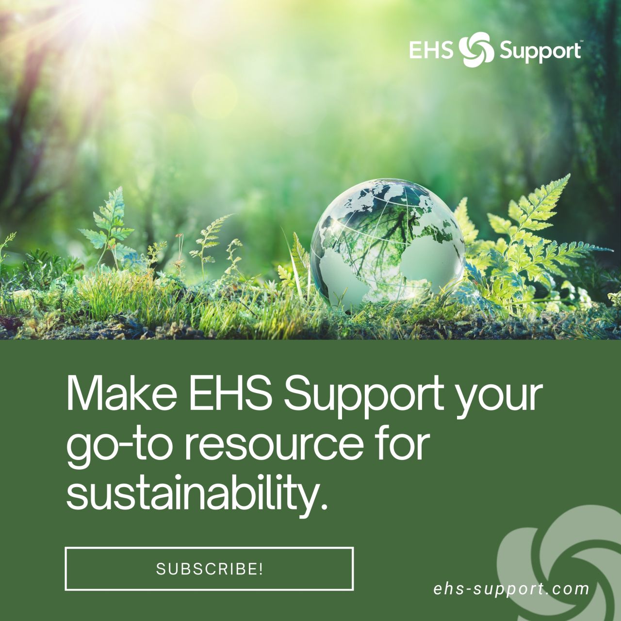 EHS Support ad