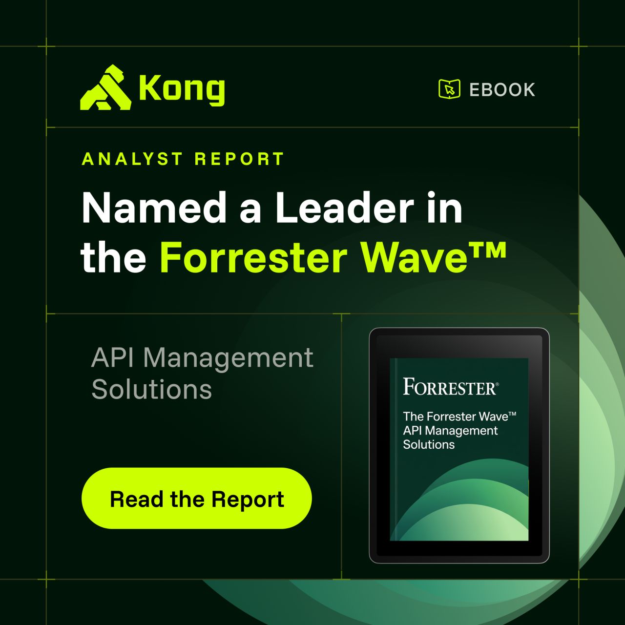 Kong ad