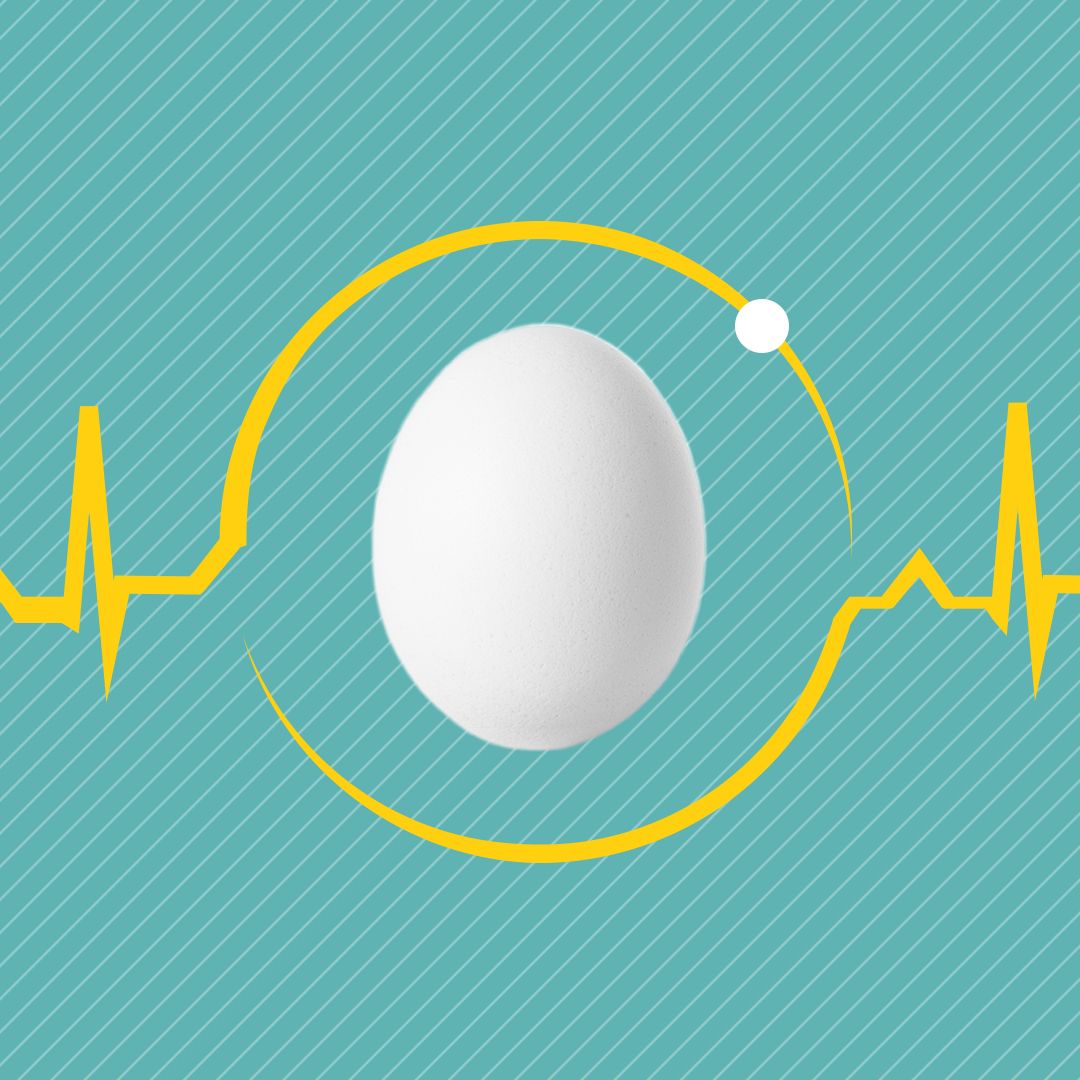 Egg Farmers of Canada / Les Producteurs d’œufs du Canada ad
