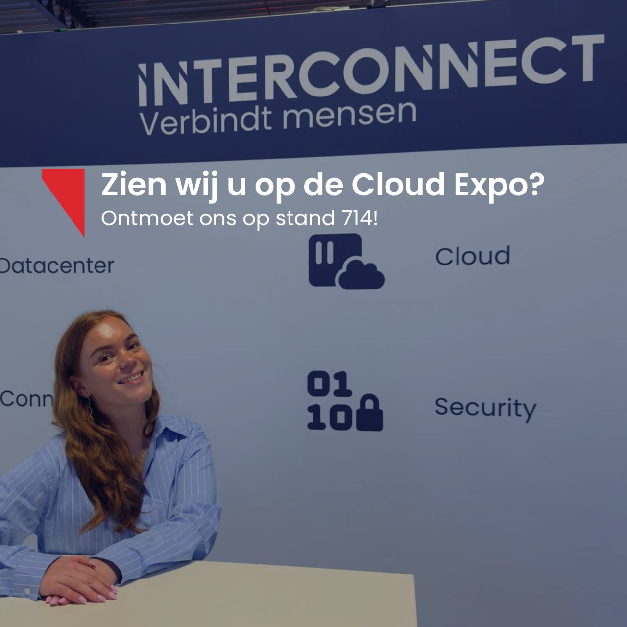 Interconnect Services BV ad