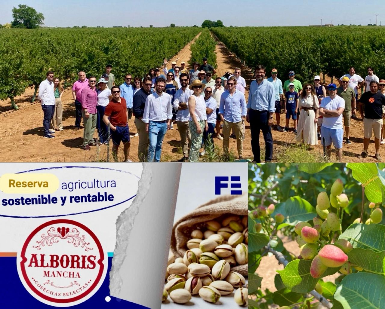 Alboris Mancha | Desarrollos Agricolas ad