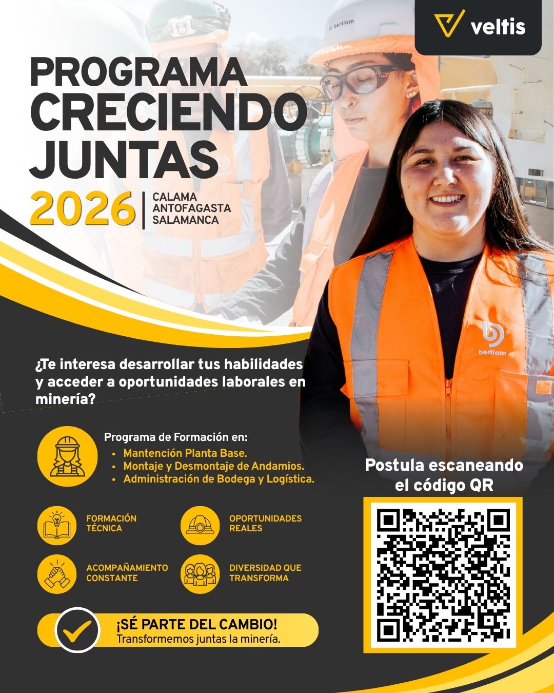 Veltis Latam ad