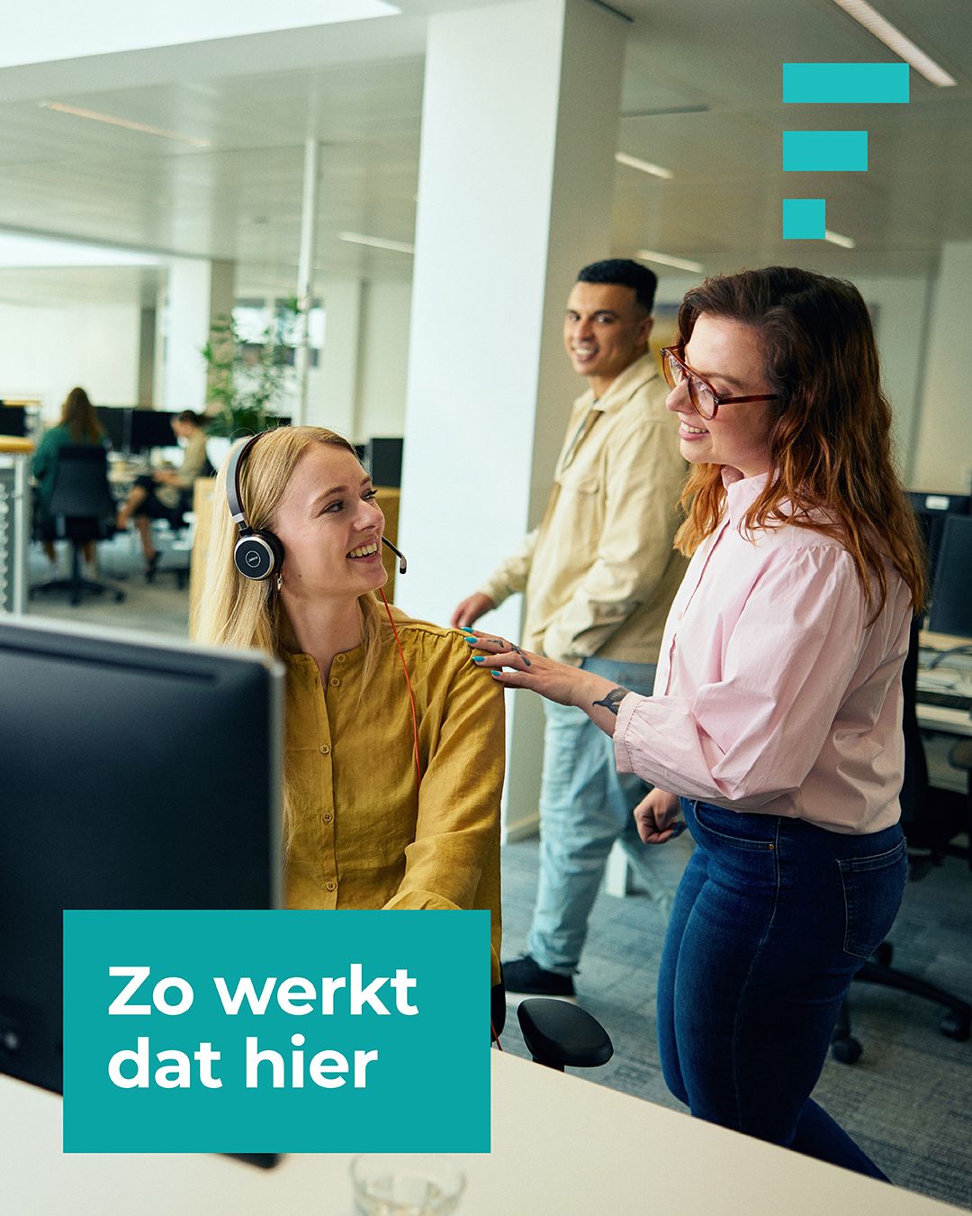 De Friesland ad