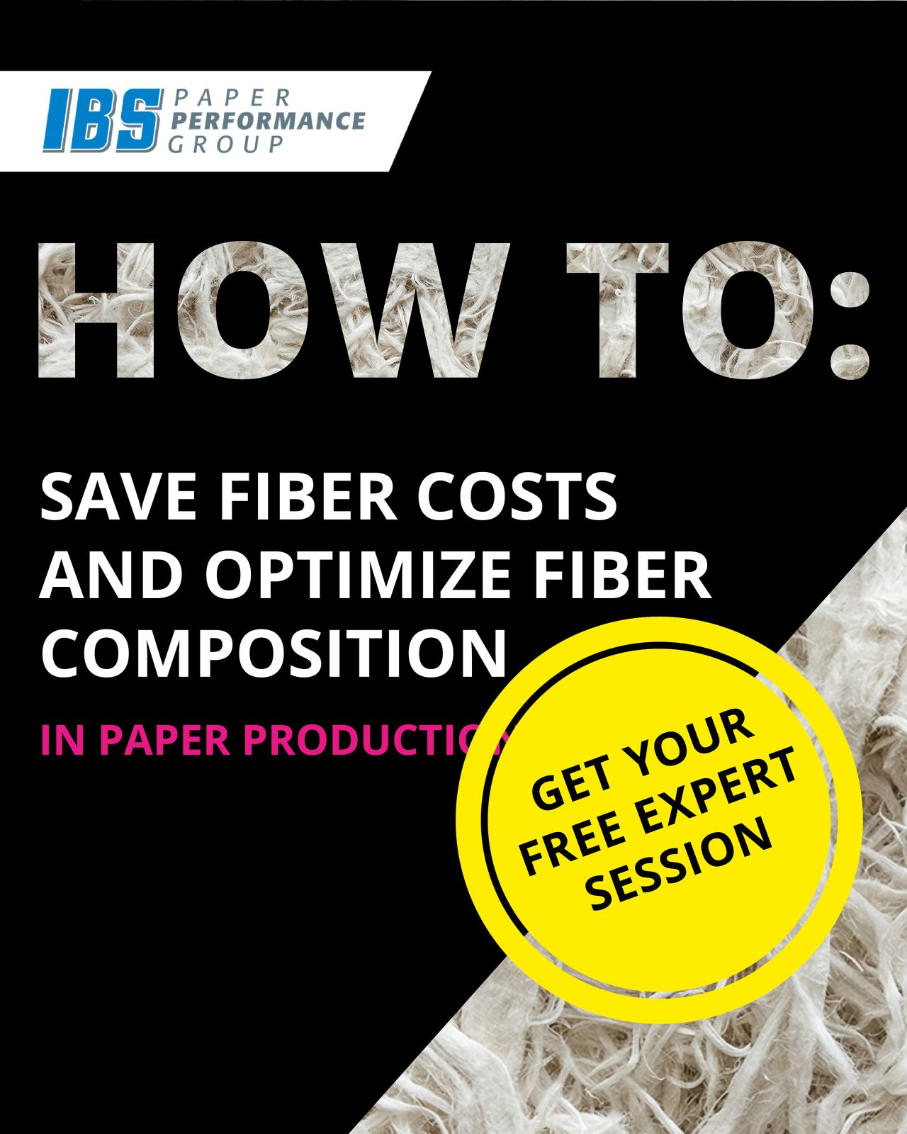 IBS Paper Performance Group ad