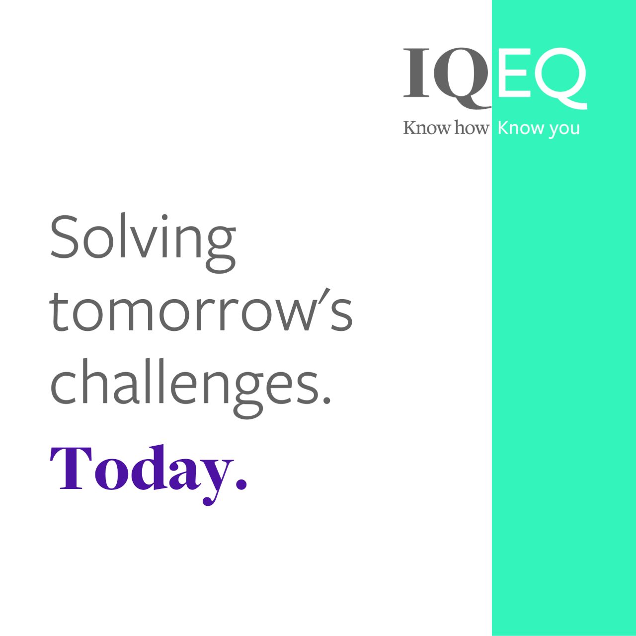 IQ-EQ ad