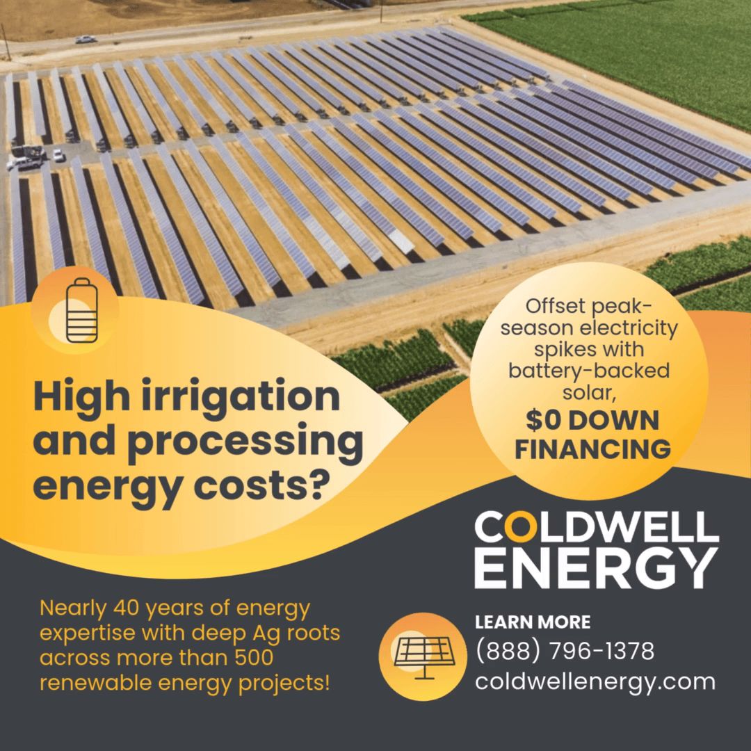 Coldwell Energy ad
