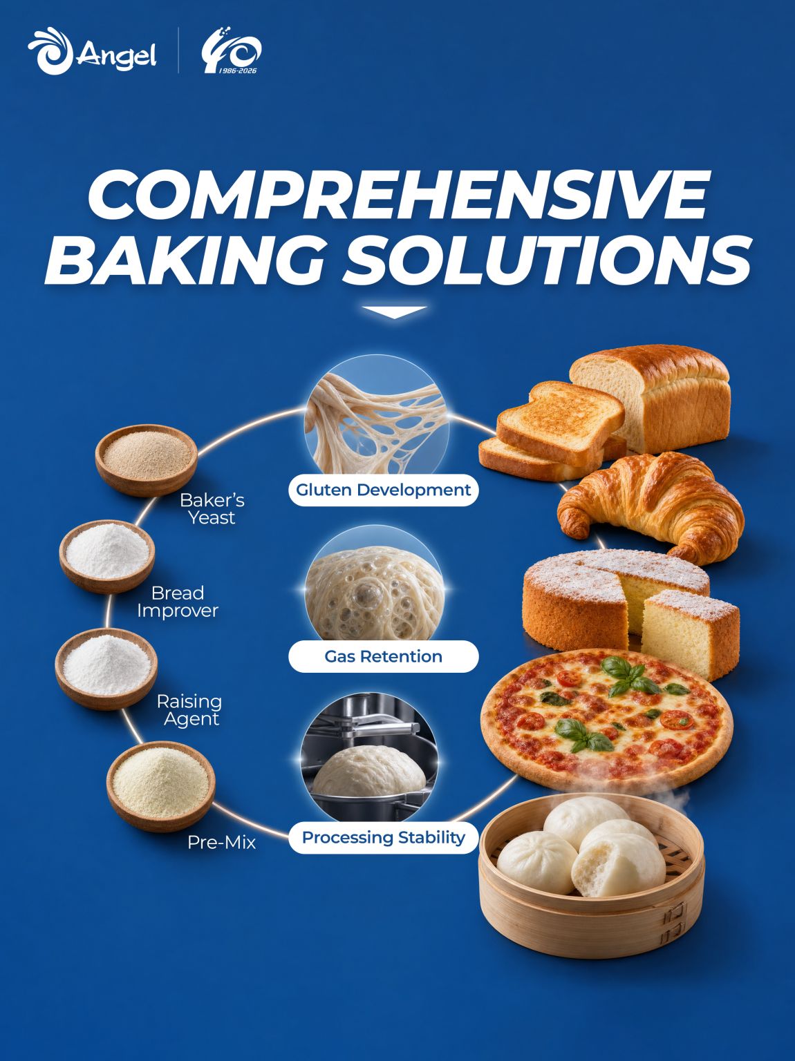 Angel yeast ad