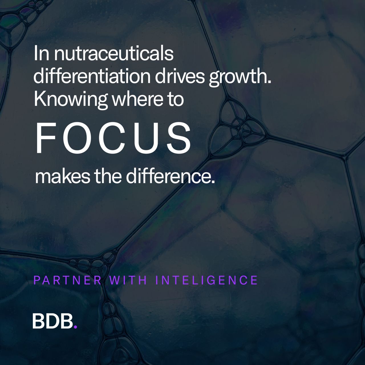 BDB Global Limited ad