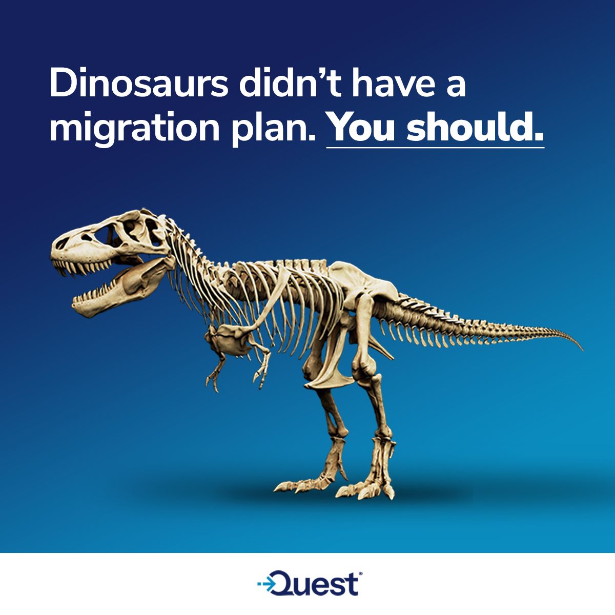 Quest Software ad