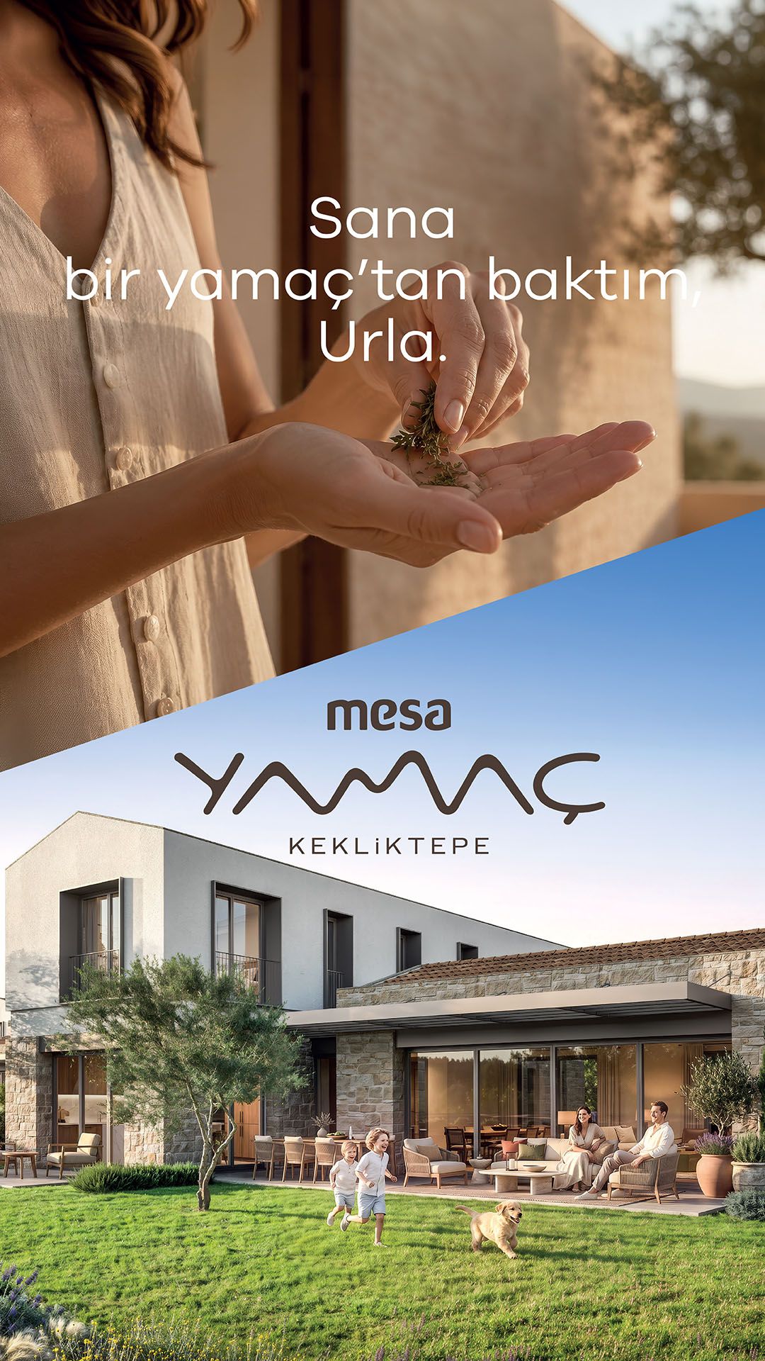 Mesa Holding ad