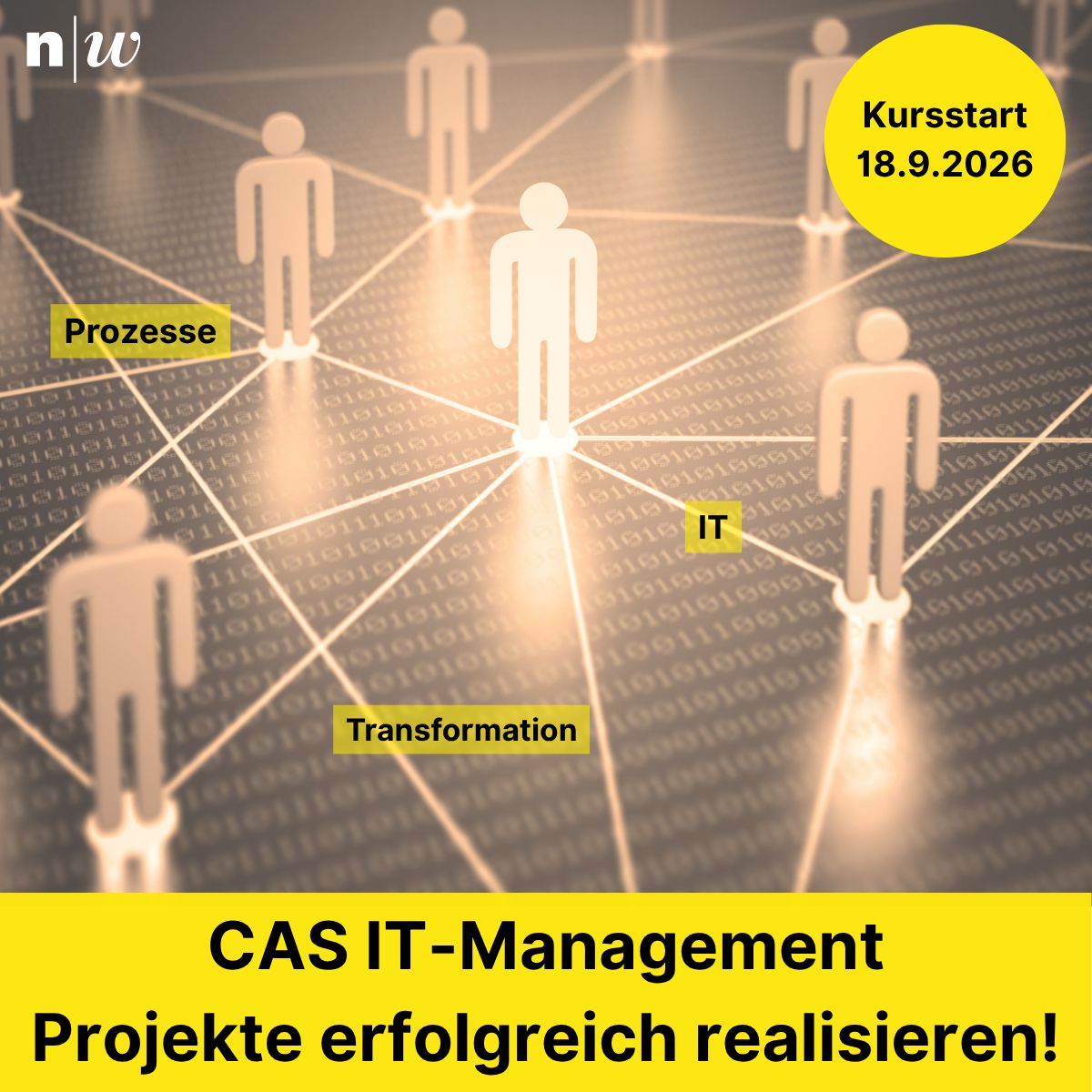 Institut für Wirtschaftsinformatik FHNW ad