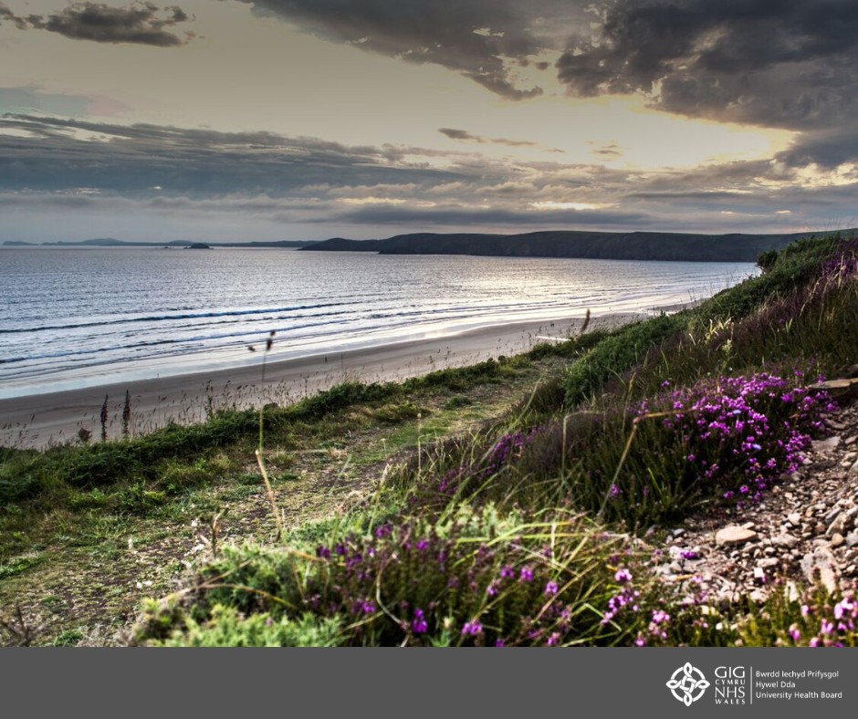 Hywel Dda University Health Board ad