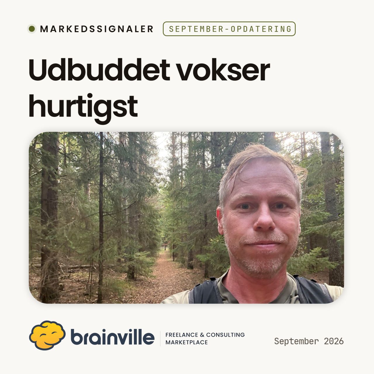 Brainville - Freelance & Consulting Marketplace ad