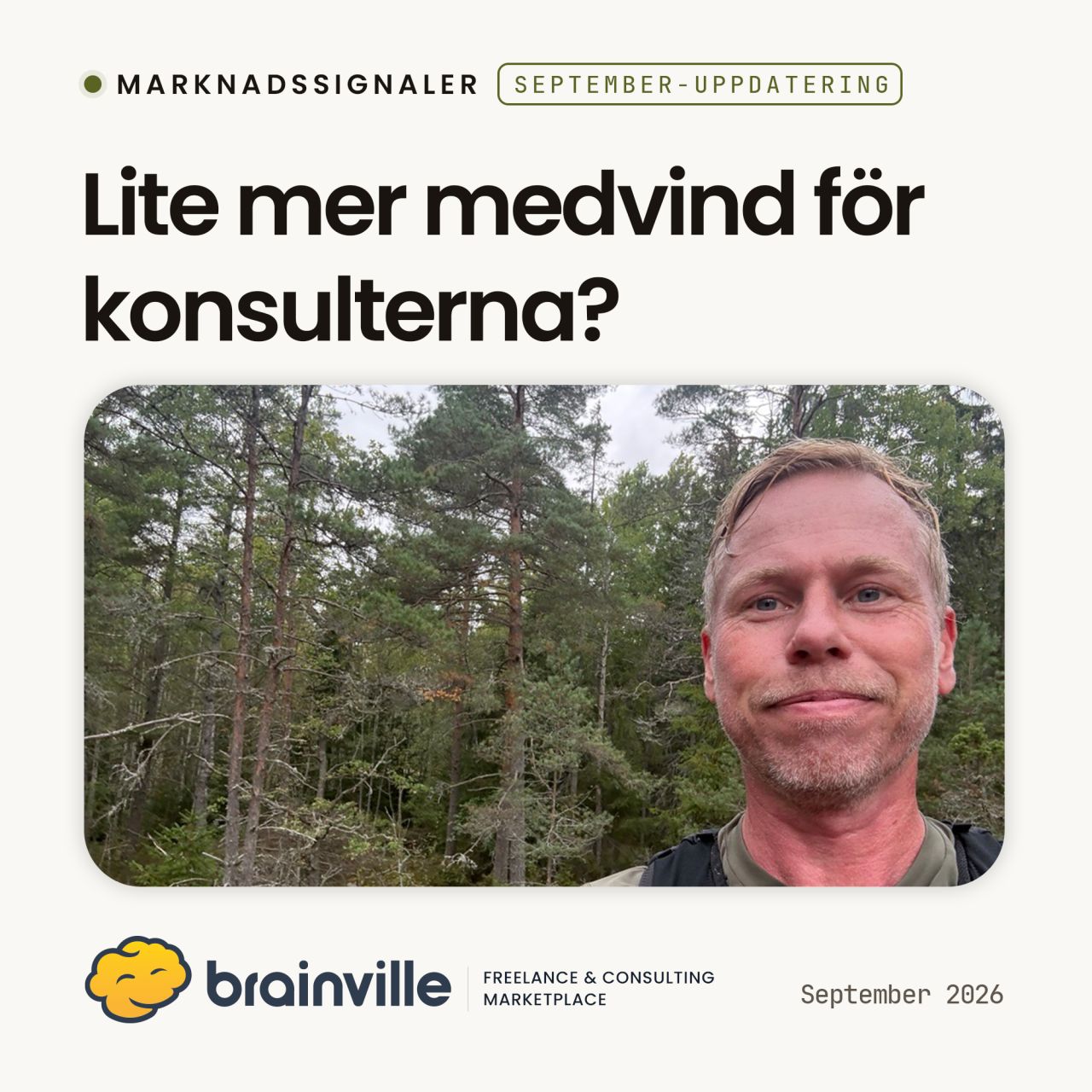Brainville - Freelance & Consulting Marketplace ad