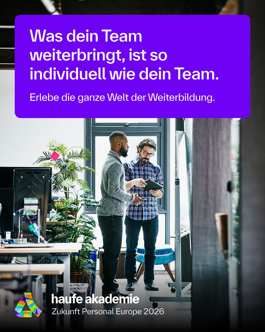Haufe Akademie ad