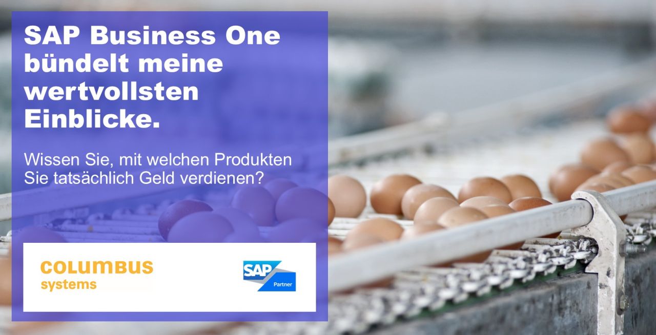 Columbus Systems - Partner of SAP Business One ad