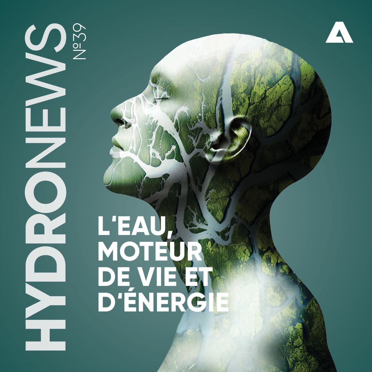 ANDRITZ Hydro ad