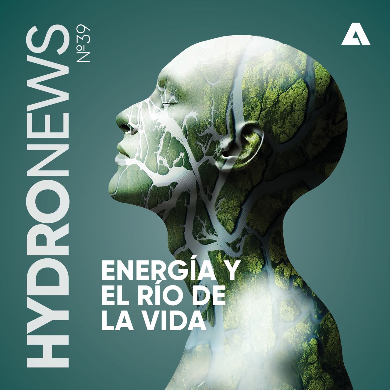 ANDRITZ Hydro ad