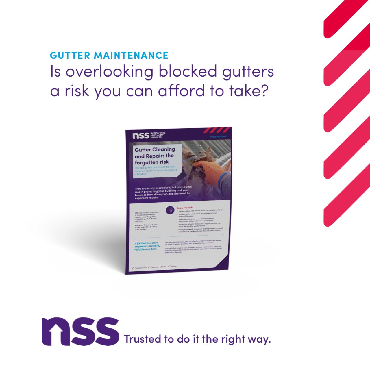 NSS ad