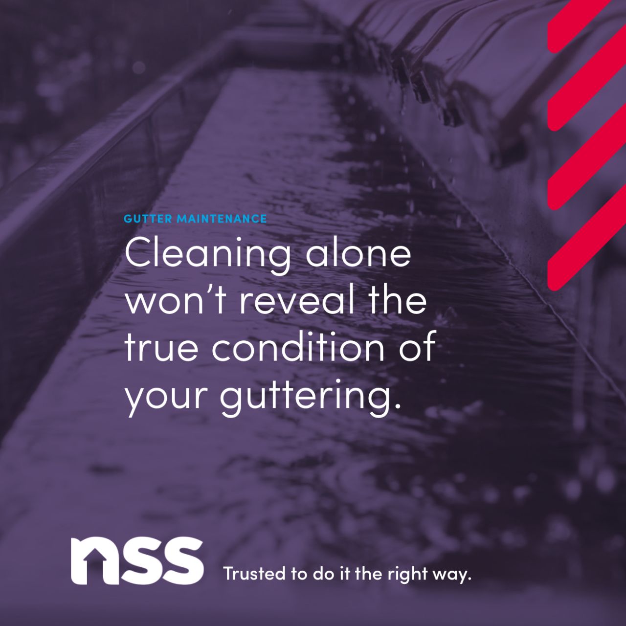 NSS ad