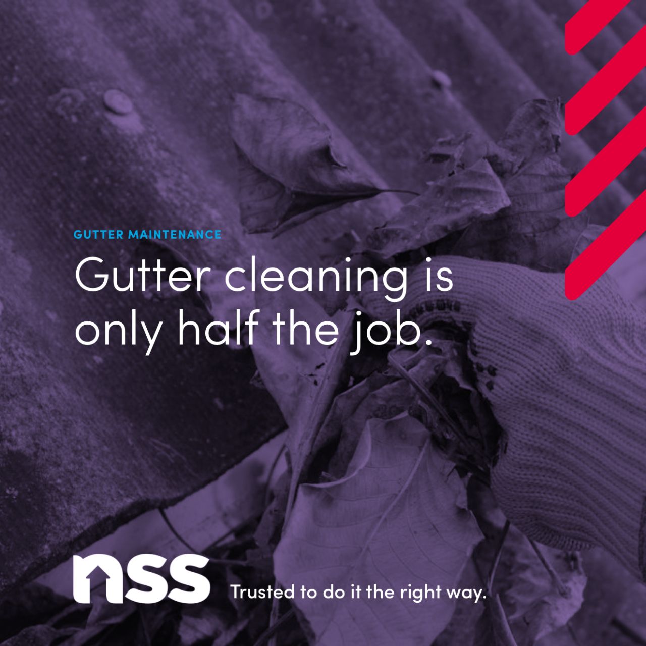 NSS ad