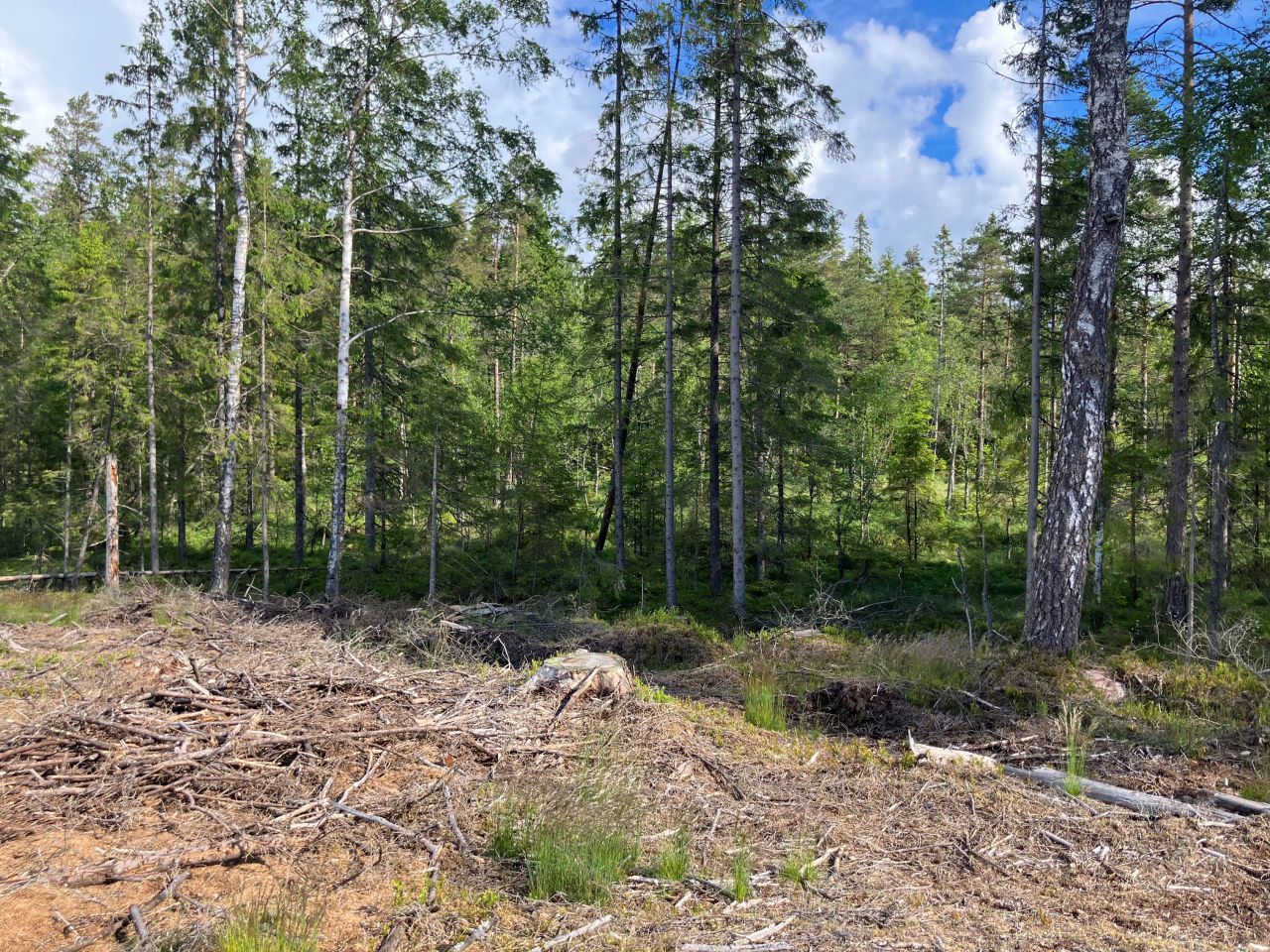Södra ad