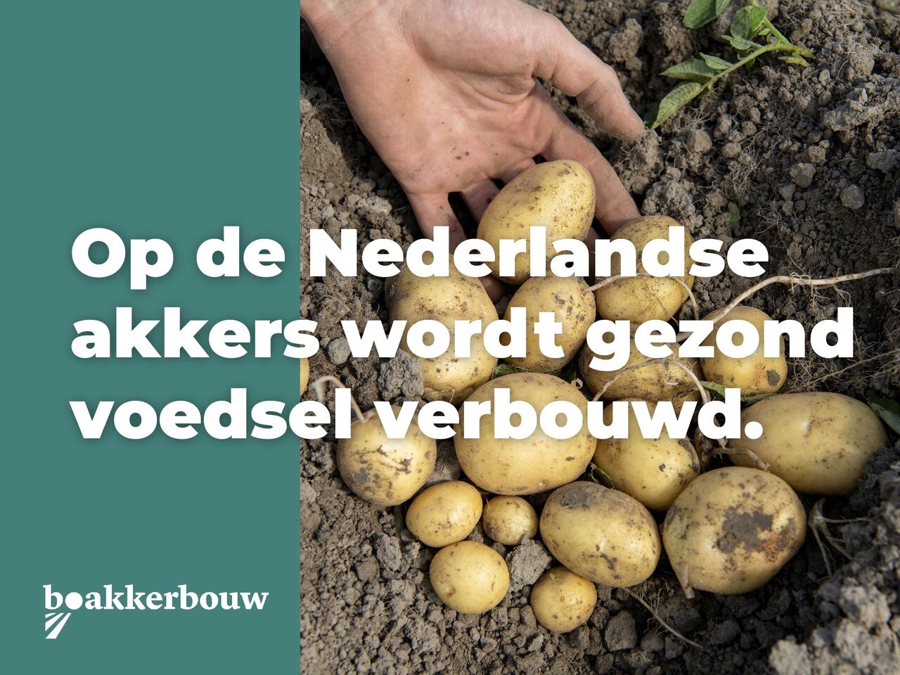 BO Akkerbouw ad
