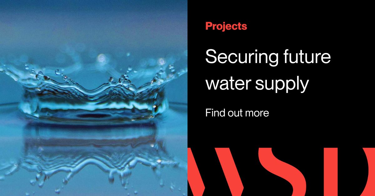 WSP in Australia ad