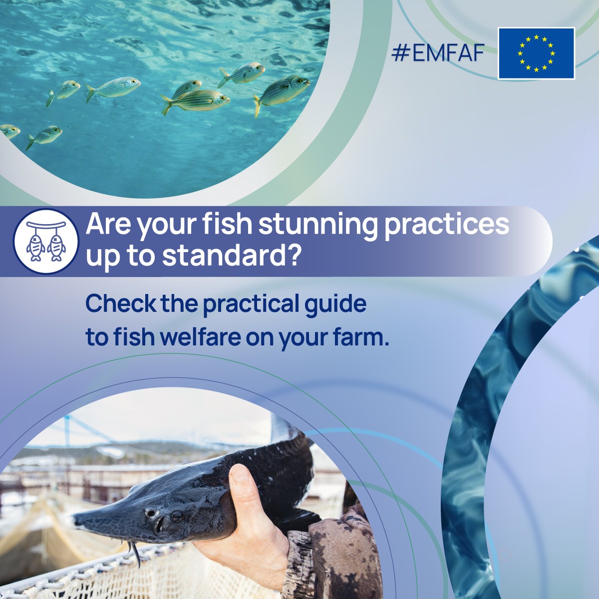 CINEA - European Climate, Infrastructure and Environment Executive Agency ad