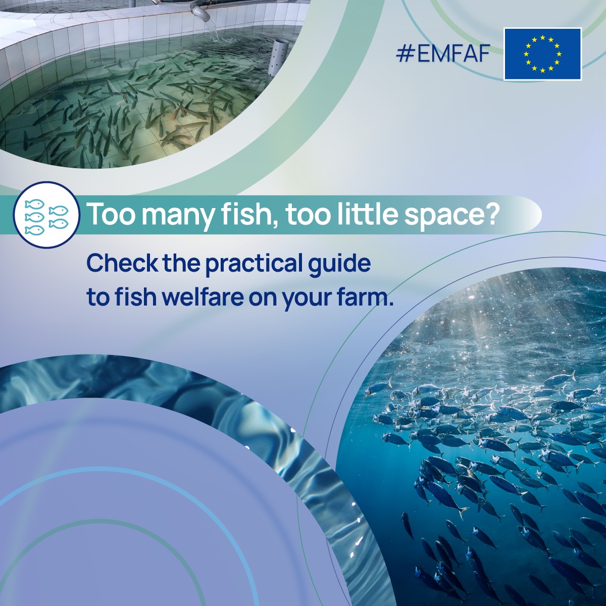 CINEA - European Climate, Infrastructure and Environment Executive Agency ad