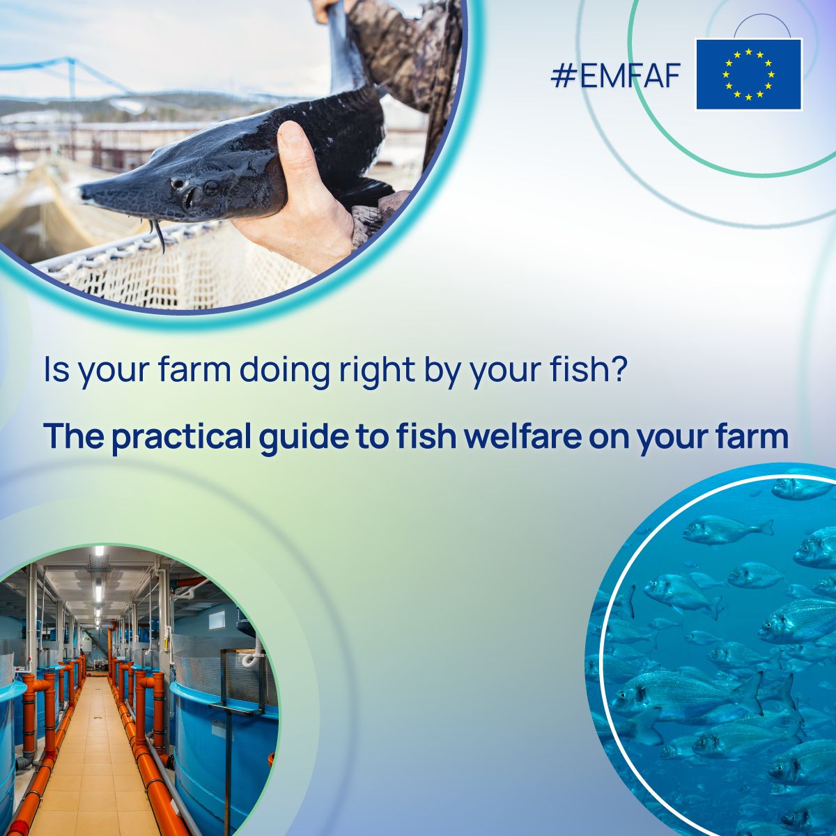 CINEA - European Climate, Infrastructure and Environment Executive Agency ad