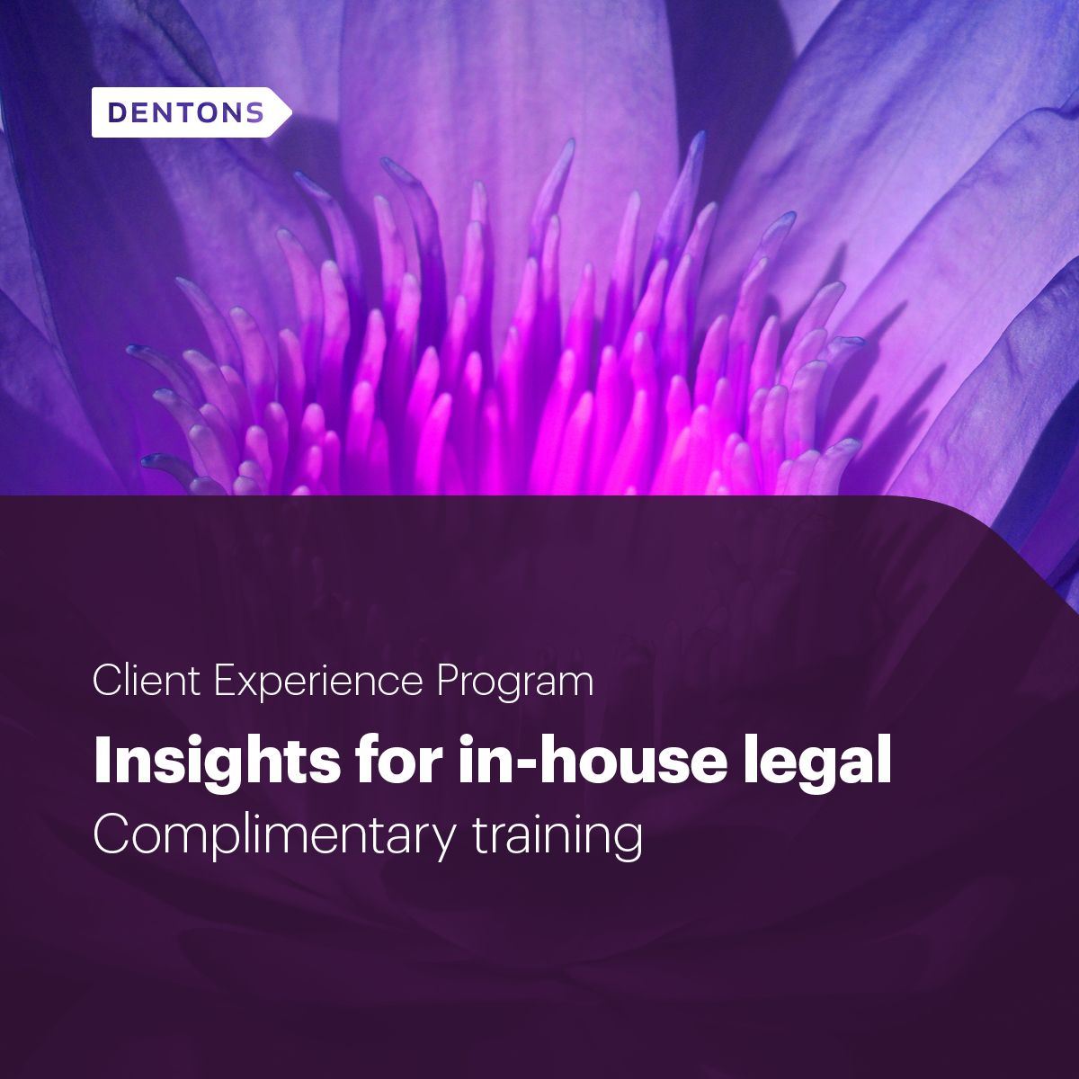Dentons ad