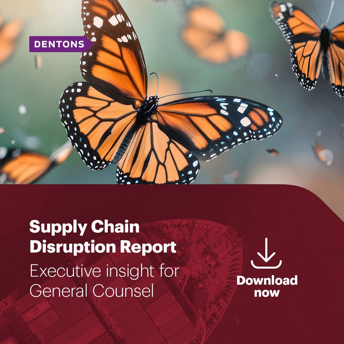 Dentons ad