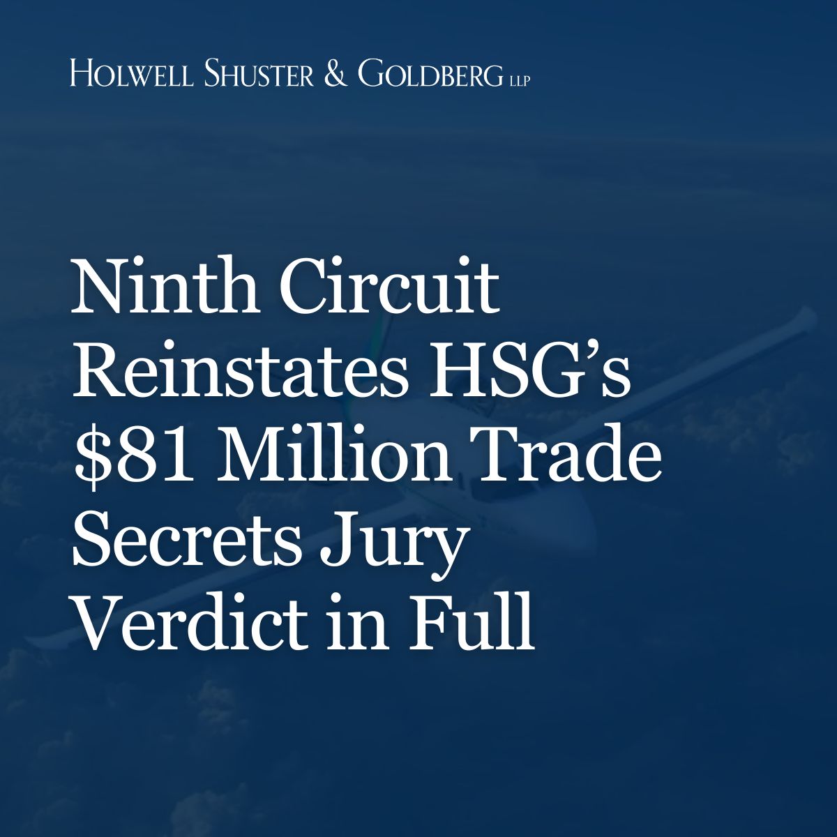 Holwell Shuster & Goldberg LLP ad