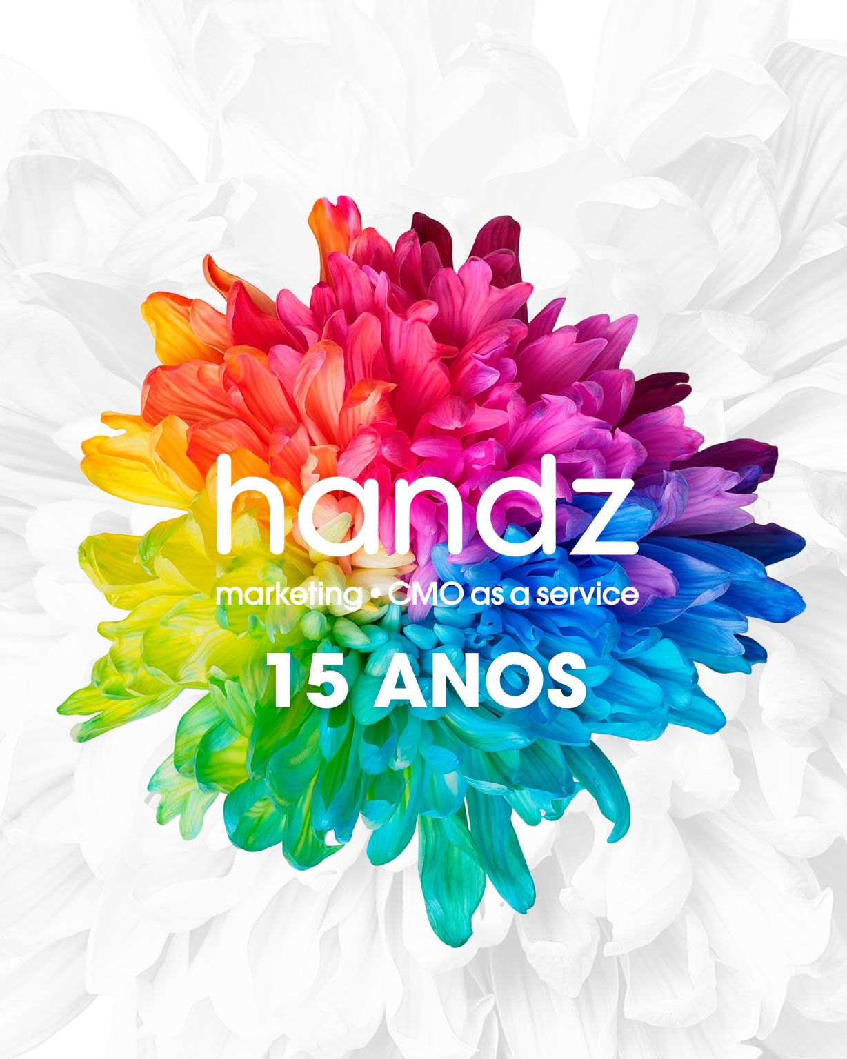 handz | marketing • CMO as a service ad