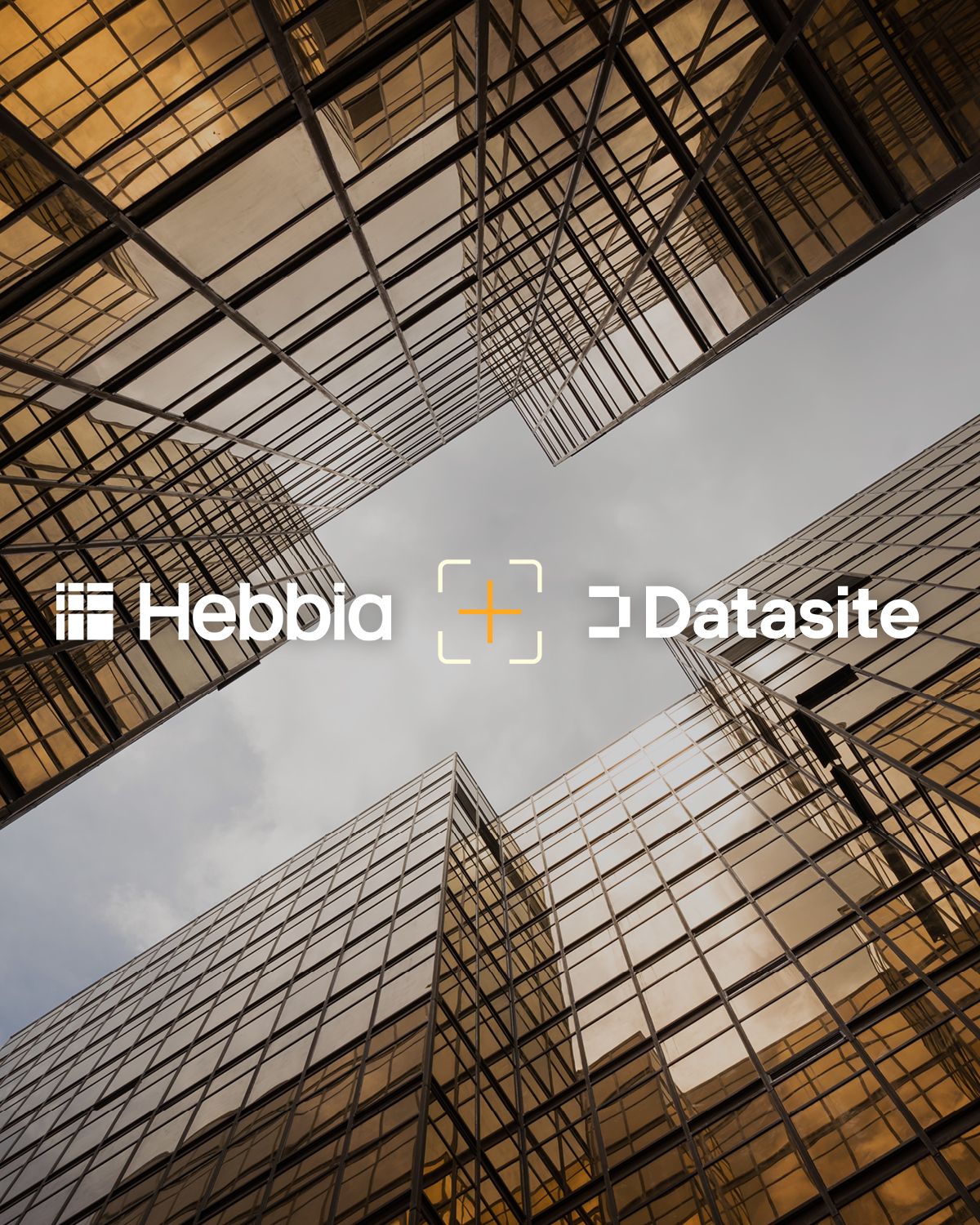 Datasite ad