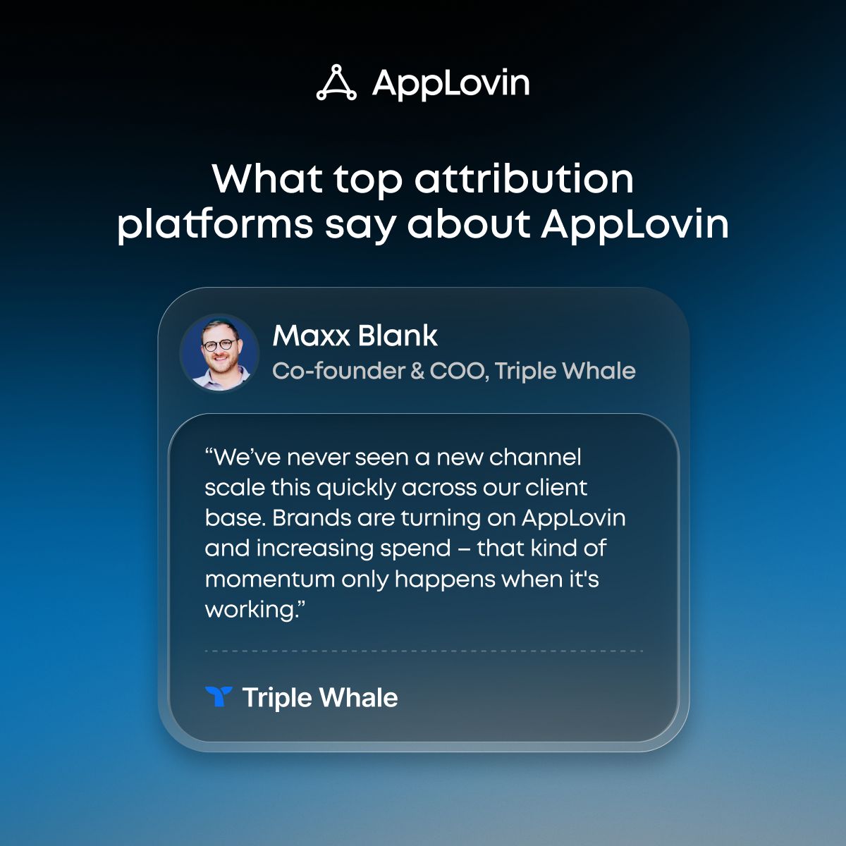 AppLovin ad