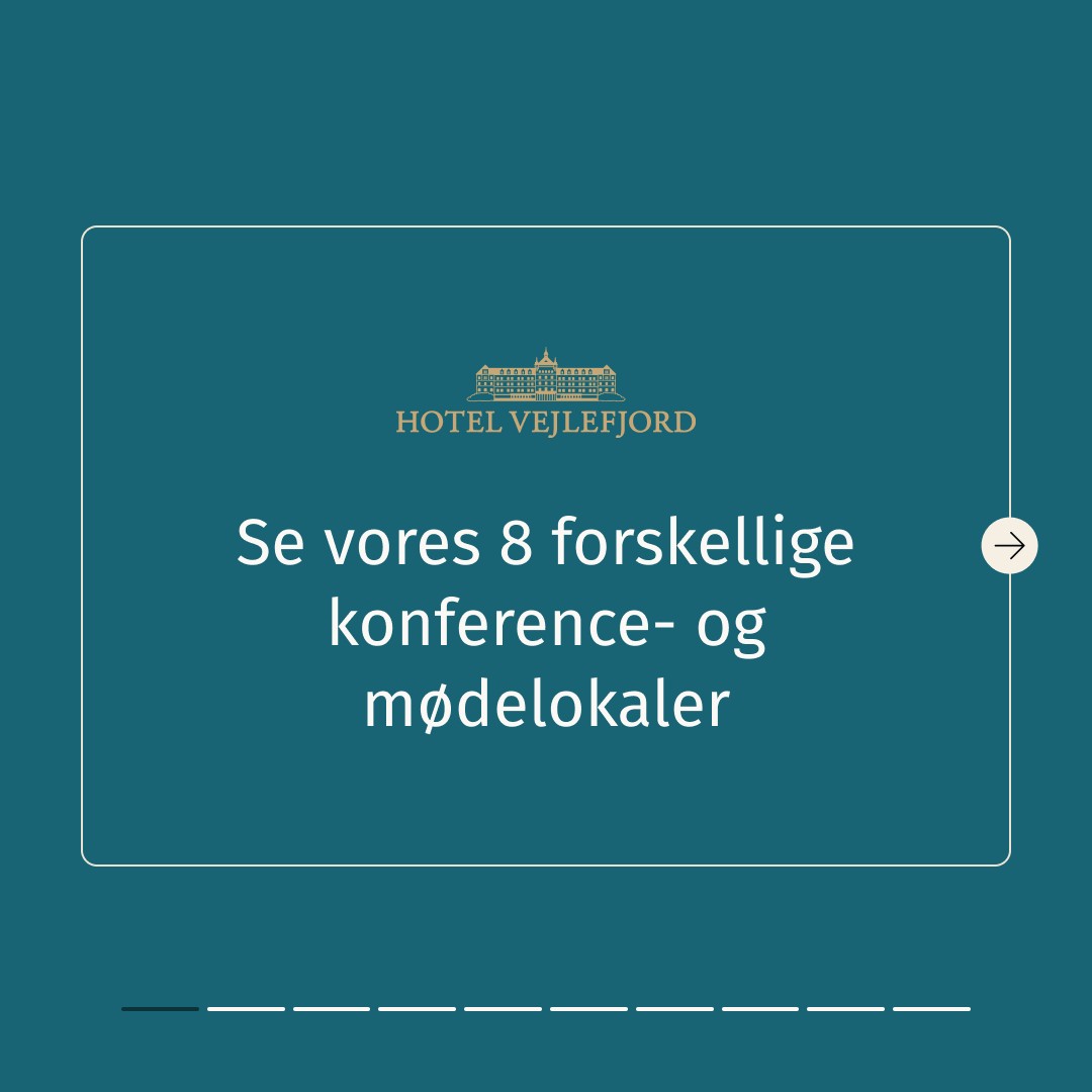 Hotel Vejlefjord ad