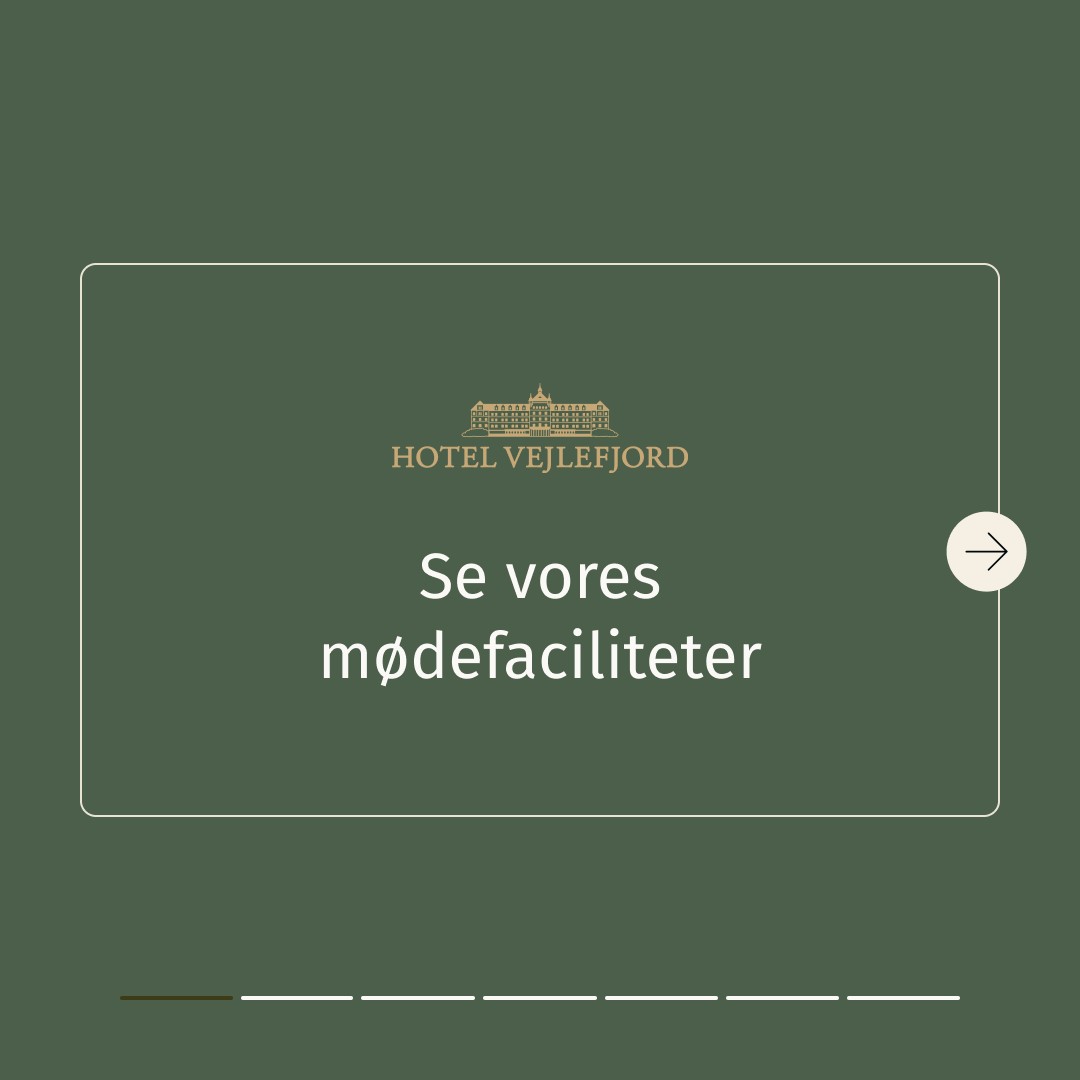 Hotel Vejlefjord ad