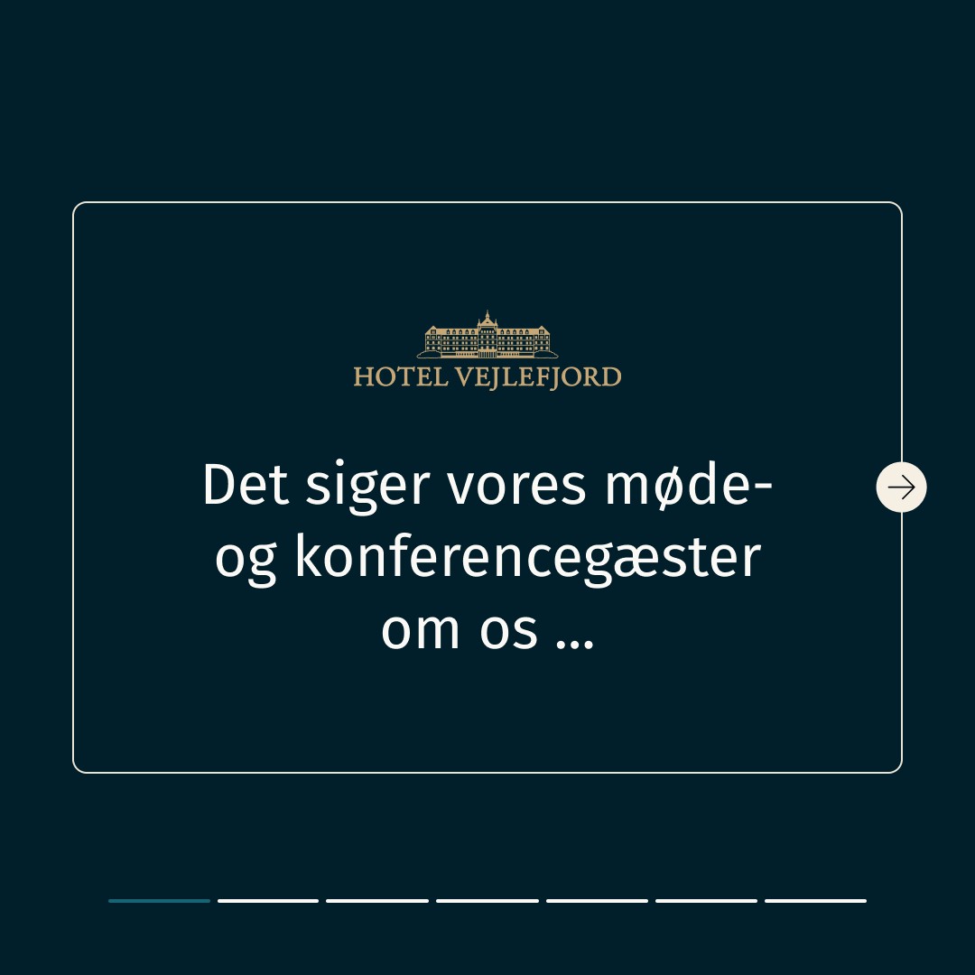 Hotel Vejlefjord ad