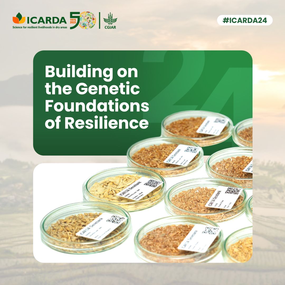 ICARDA; International Center for Agricultural Research in the Dry Areas ad