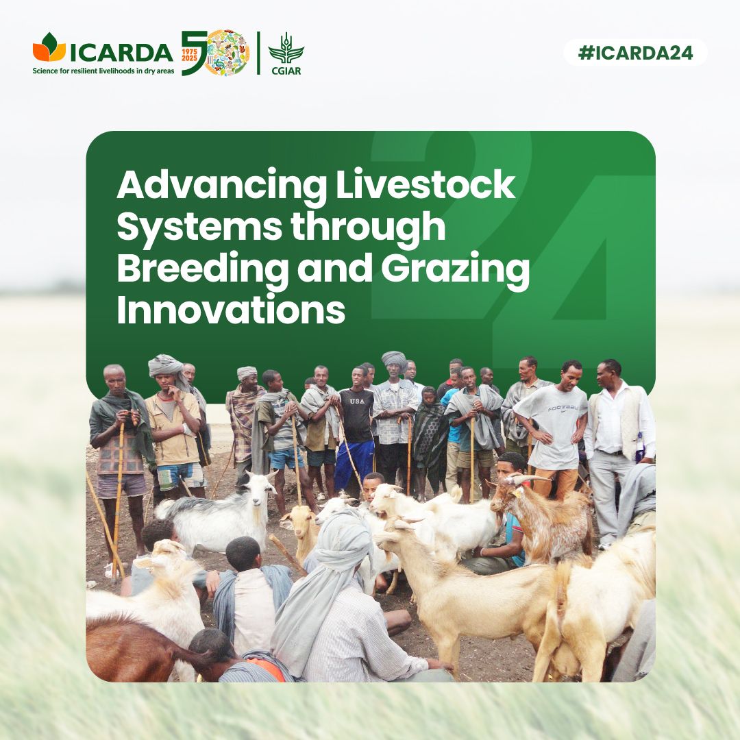 ICARDA; International Center for Agricultural Research in the Dry Areas ad