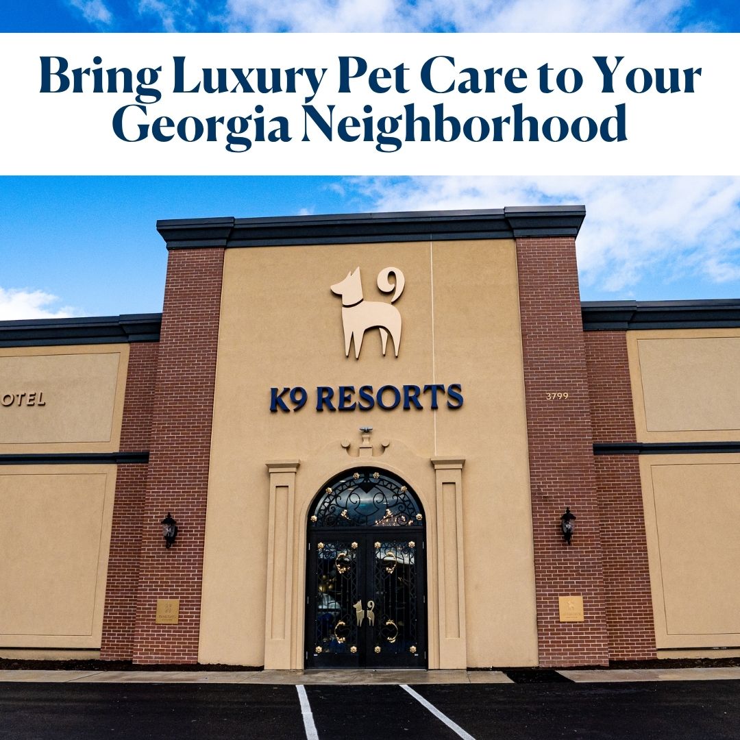 K9 Resorts Luxury Pet Hotel ad