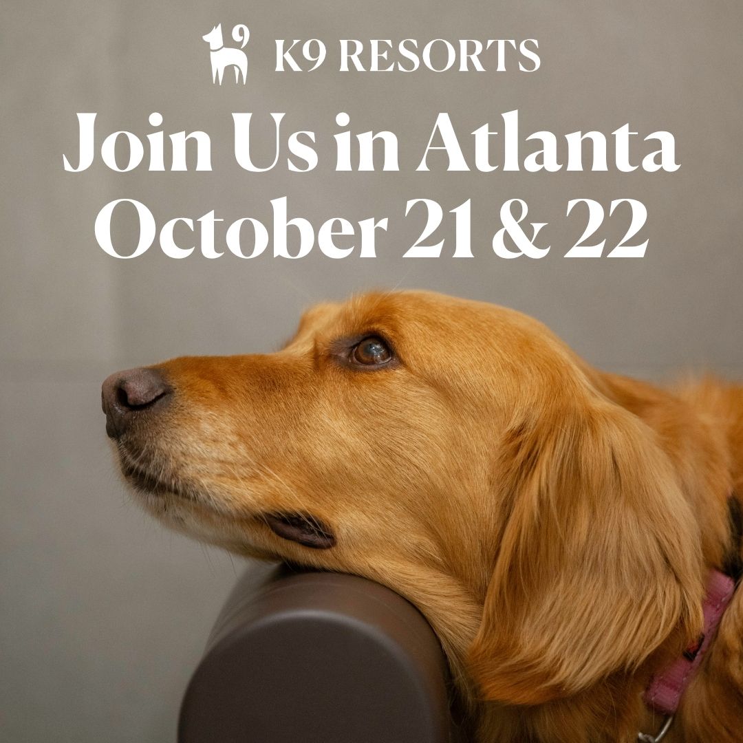 K9 Resorts Luxury Pet Hotel ad