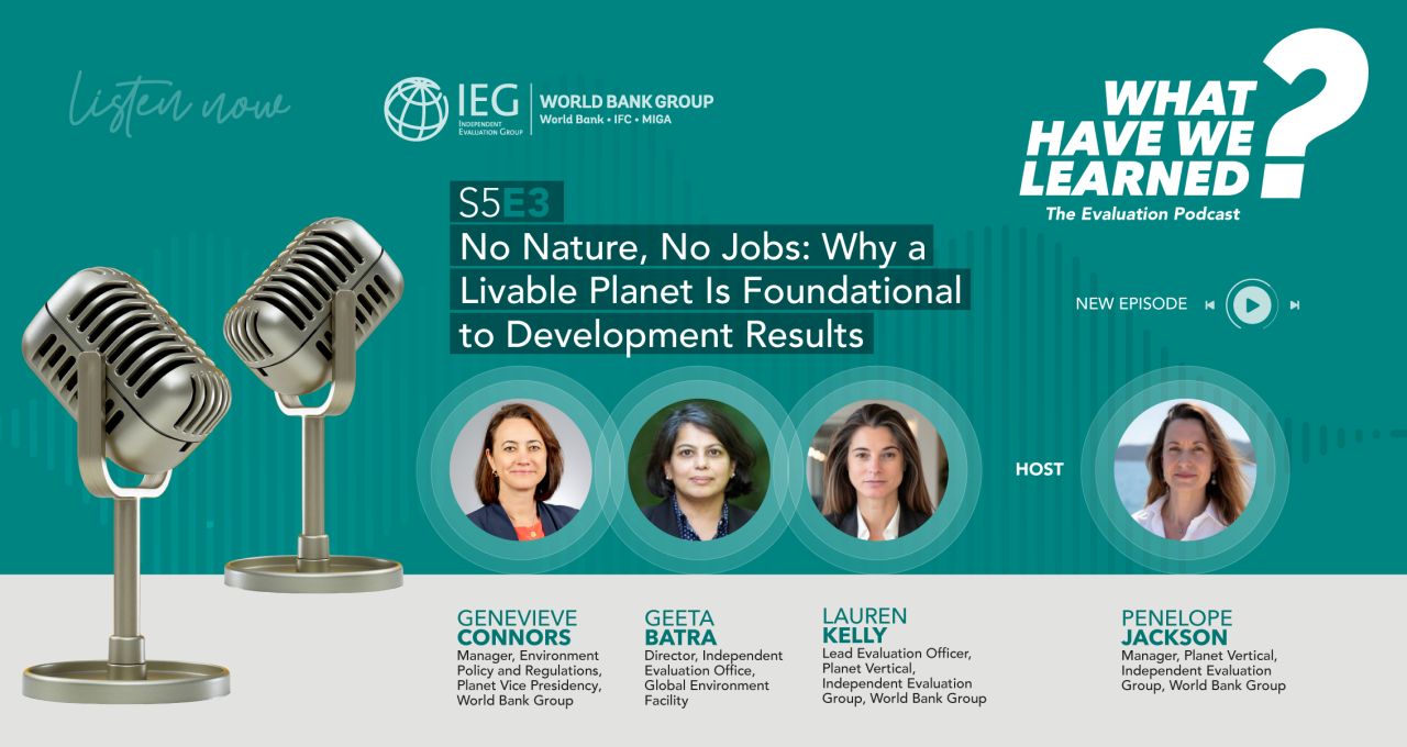 Independent Evaluation Group ad